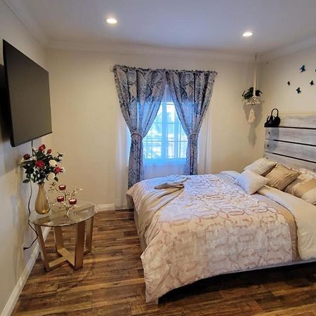 Adorable Modern Guesthouse With Full Kitchen 洛杉矶 外观 照片