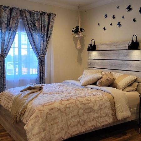 Adorable Modern Guesthouse With Full Kitchen 洛杉矶 外观 照片