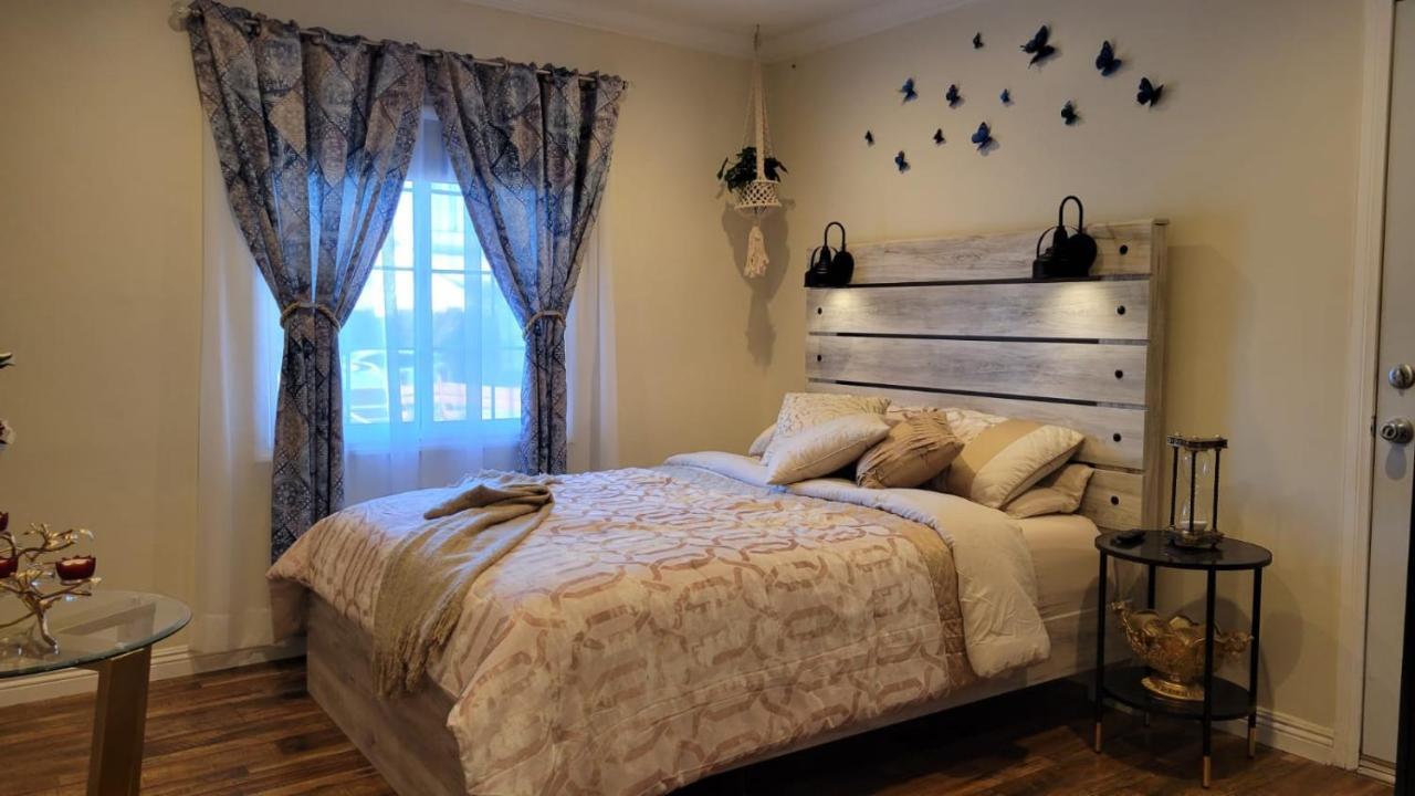 Adorable Modern Guesthouse With Full Kitchen 洛杉矶 外观 照片